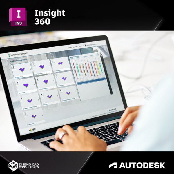 Insight 360