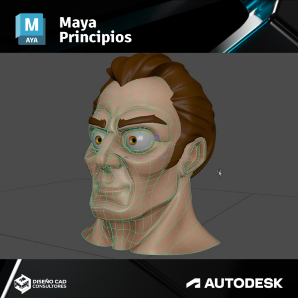 Maya Principios