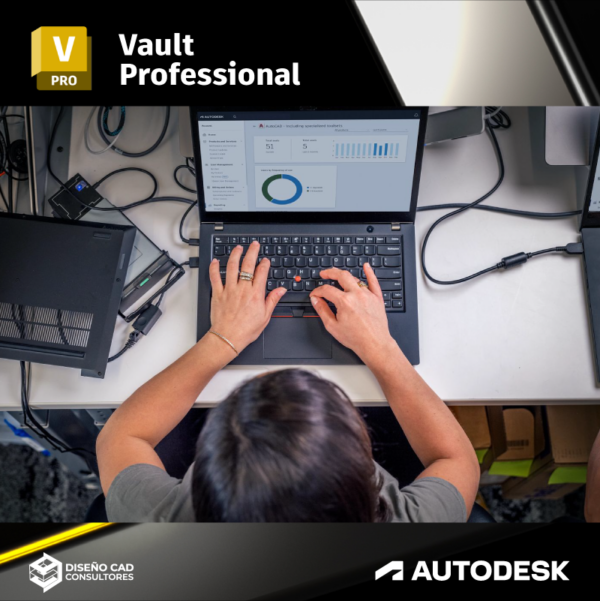 Vault Professional Fundamentos