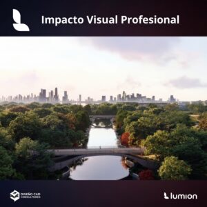 Impacto Visual Profesional